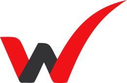 WELL MAXI logo