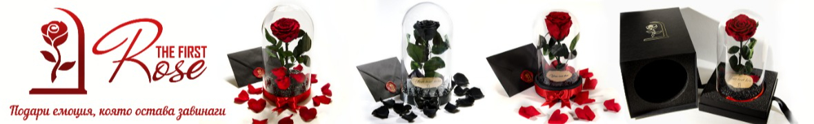 ЕСТЕСТВЕНА Вечна роза в ГОЛЯМА стъкленица / Стилен Подарък за Жена