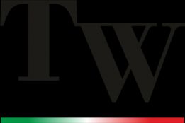 Twister Wash logo