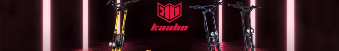 Kaabo Wolf Warrior 11 2x1200 LG/35ah