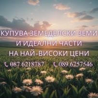 Димитрова-Естейт ЕООД