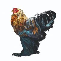 Brahma Bulgaria
