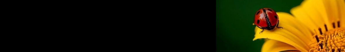 Цвета Георгиева