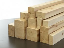 РОДОПИ ЛЕС 94