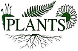 ТОО PLANTS COMPANY