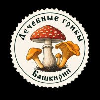 Лечебные грибы Башкирии