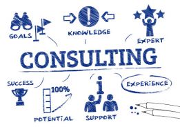 Damu Consulting Group