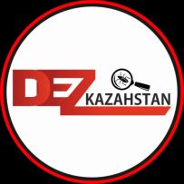 DezKazahstan
