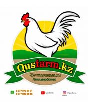 Инкубатор Терморегулятор Инкубация город Алматы