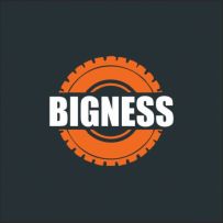 ТОО Bigness