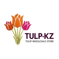 Tulp-kz, Тюльпаны оптом Казахстан, Александр и Эдуард