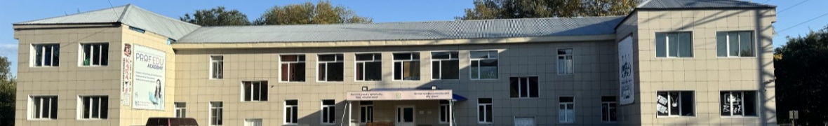 Professional Education Academy