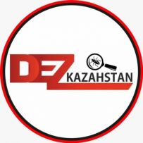 Dez-Kazahstan