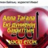 User avatar