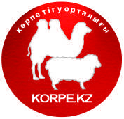 ИП Мустафаева