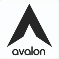 ТОО "Avalon ind"