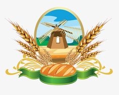 СУЛЕЙМАН