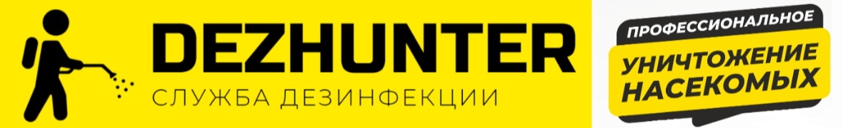 DEZHUNTER