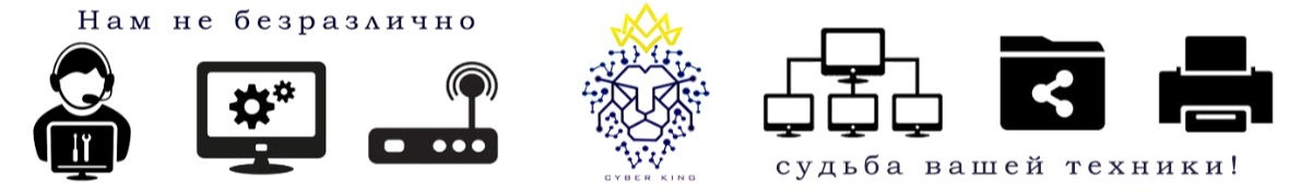 Cyber King