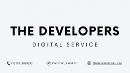 The Developer