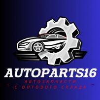 AutoParts16