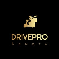 DrivePro