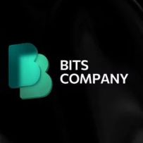 BITS IT