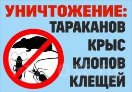 ‼️Дезинфекция Алматы‼️
