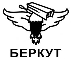 Беркут Система Видеонаблюдения