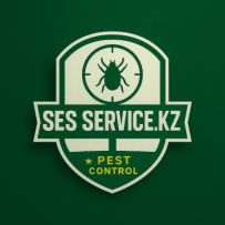 SES SERVICE