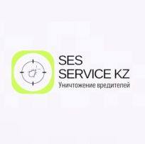 SES SERVICE