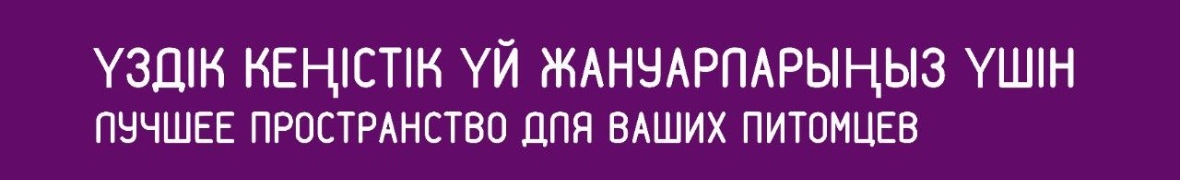 зообутик