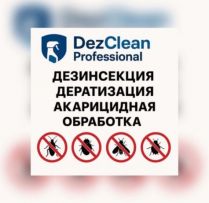 Dezcleanprofessional