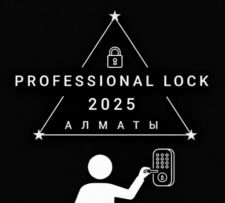 PROFESSIONAL LOCK