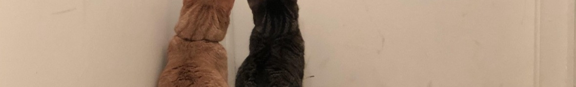 ИП ЮНУСХАНОВА