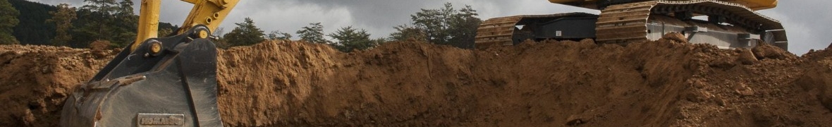 Future Consulting &amp; Partners