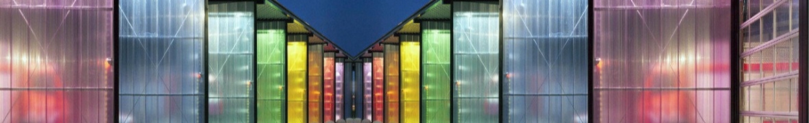 Полик Актау