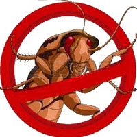 ИП Воробьева Е. А.