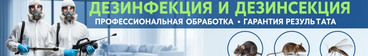 ИП Воробьева Е. А.