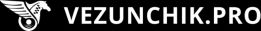 VEZUNCHIK PRO COURIER