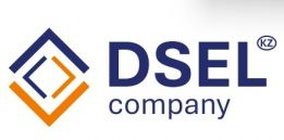 DSEL Company