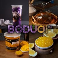 Boduo Kazakhstan