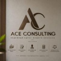ACE Consulting