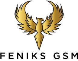 Feniks Serwis GSM