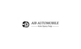 Borys Dec AIB Automobile