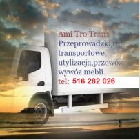 Ami Tro Trans