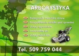 Saffron Jakub Sołtys