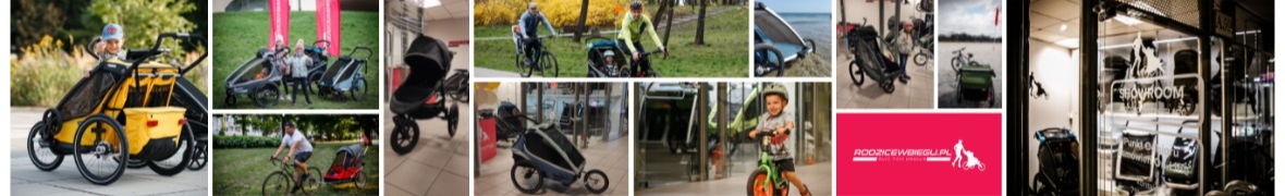 wózek dla dzieci niepełnosprawnych Wike Premium przyczepka rowerowa