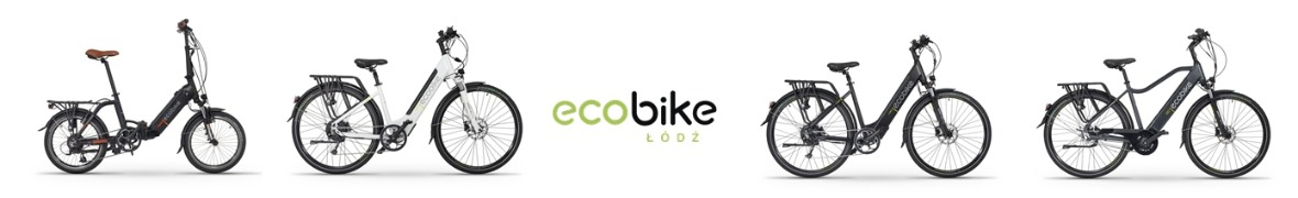 Rower elektryczny Ecobike RX500 21