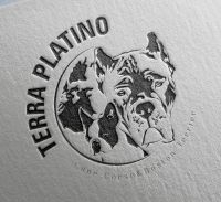 Terraplatino